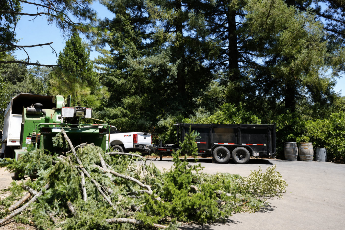 Land clearing in Camarillo, CA
