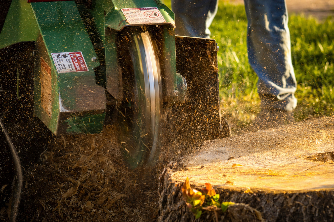 Stump grinding in Camarillo, CA