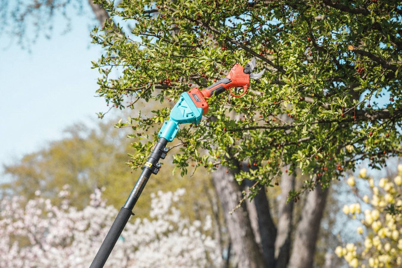 Tree pruning in Camarillo, CA